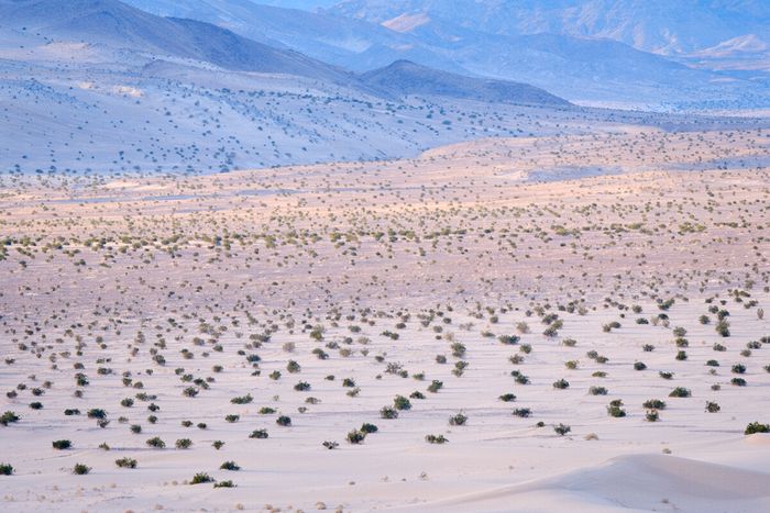 Death Valley National Park