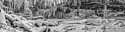 entire waterfall panorama