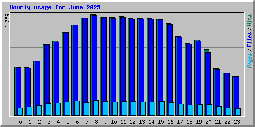 Hourly usage for June 2025