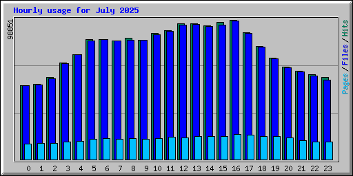 Hourly usage for July 2025