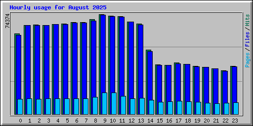 Hourly usage for August 2025