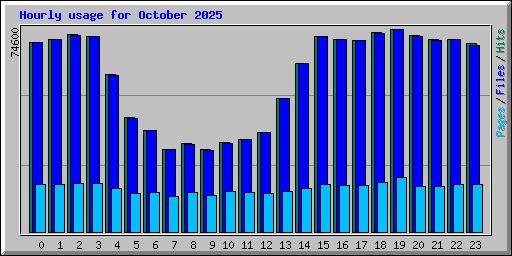 Hourly usage for October 2025