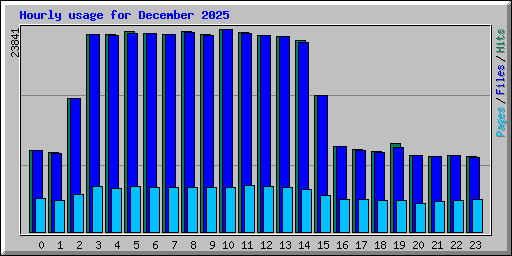 Hourly usage for December 2025