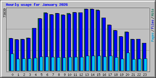 Hourly usage for January 2026