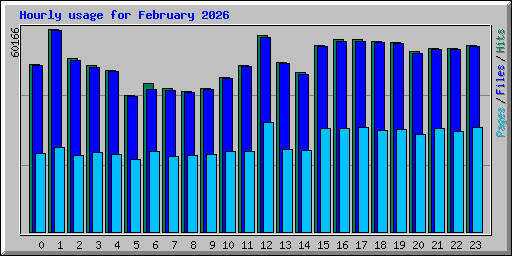Hourly usage for February 2026
