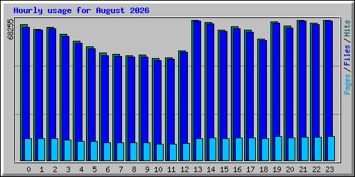 Hourly usage for August 2026